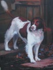Pet Portrait by David Pennington