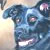 Taz and Holly Pet Portrait in Oil